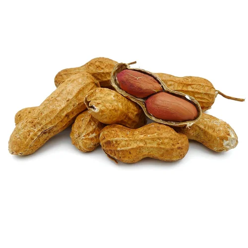 Amendoim Torrado c/ Casca