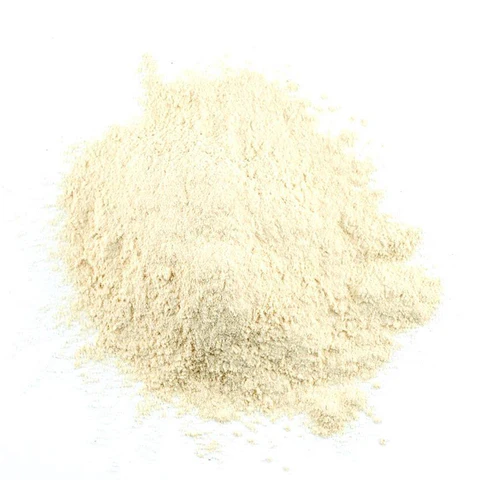 Cebola em Pó